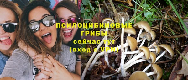 ГАЛЛЮЦИНОГЕННЫЕ ГРИБЫ Арсеньев