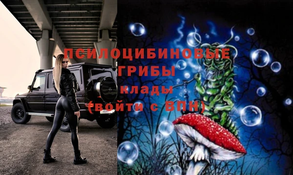 ГАЛЛЮЦИНОГЕННЫЕ ГРИБЫ Арсеньев