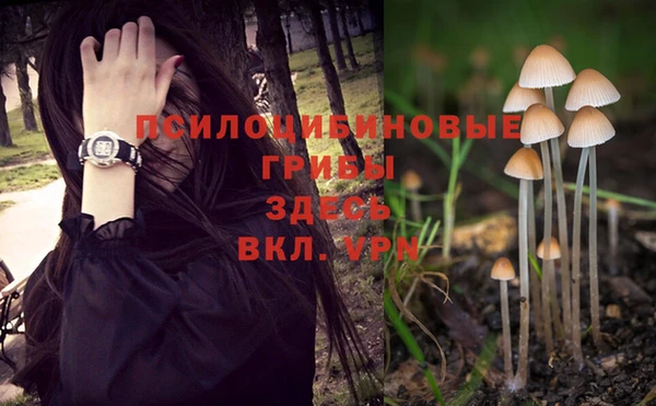 a pvp Аркадак