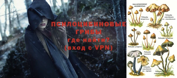 ГАЛЛЮЦИНОГЕННЫЕ ГРИБЫ Арсеньев