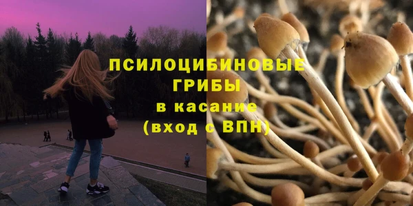 a pvp Аркадак