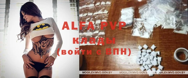 a pvp Аркадак