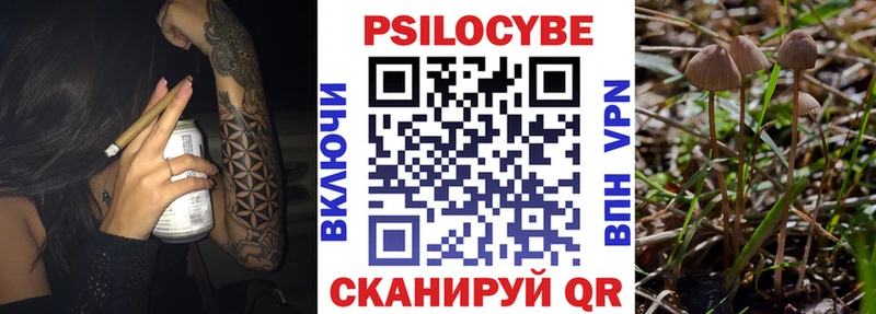 blacksprut зеркало  закладка  Кириши  Псилоцибиновые грибы прущие грибы 