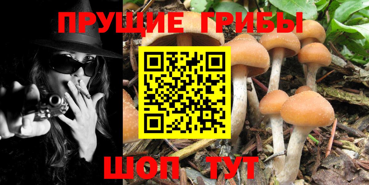 Галлюциногенные грибы GOLDEN TEACHER  Вход с VPN  Кириши 